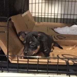 Meet your Posher, Jiordanne